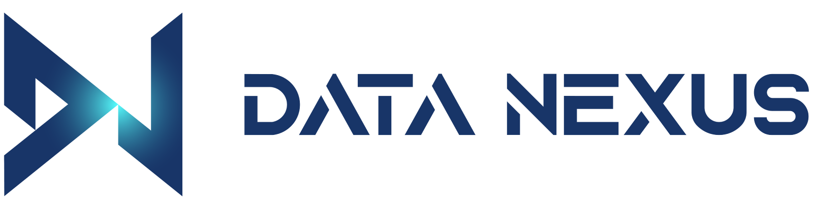 Data Nexus Logo